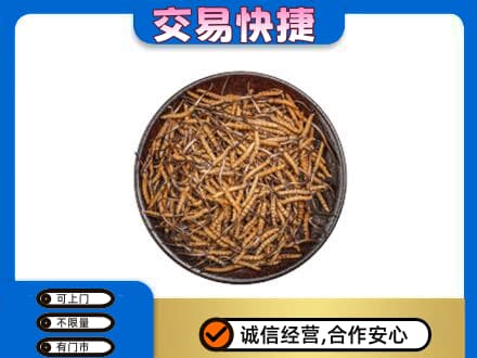 牡丹江东宁市回收散虫草